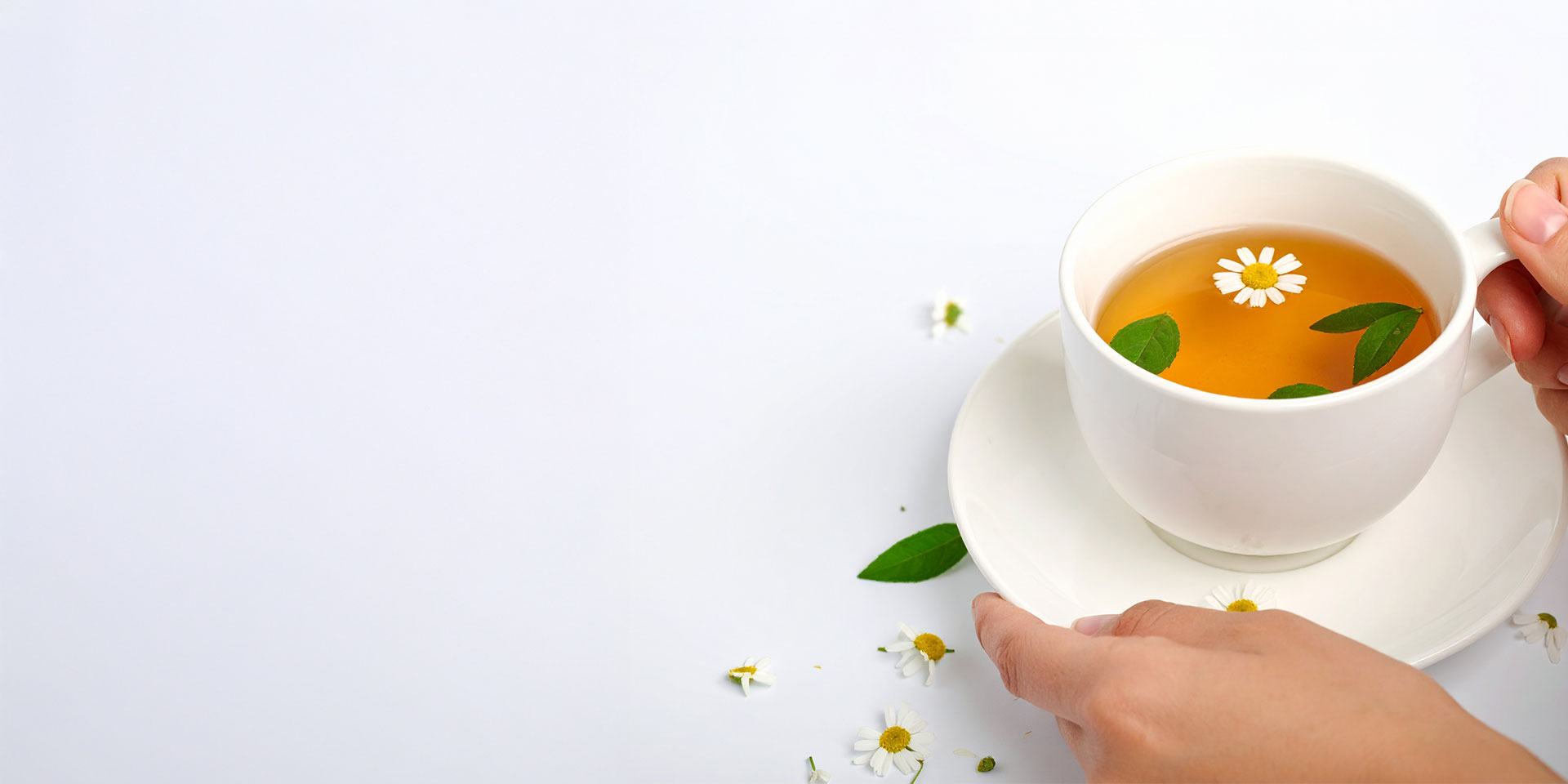 revslider_teashop_bg2